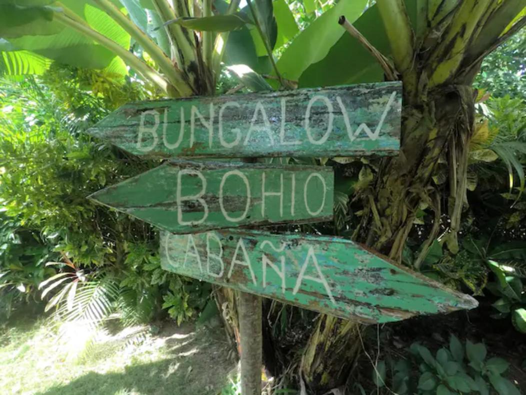 Dream Glamping Jungle Bohio Hotel Las Terrenas Bagian luar foto