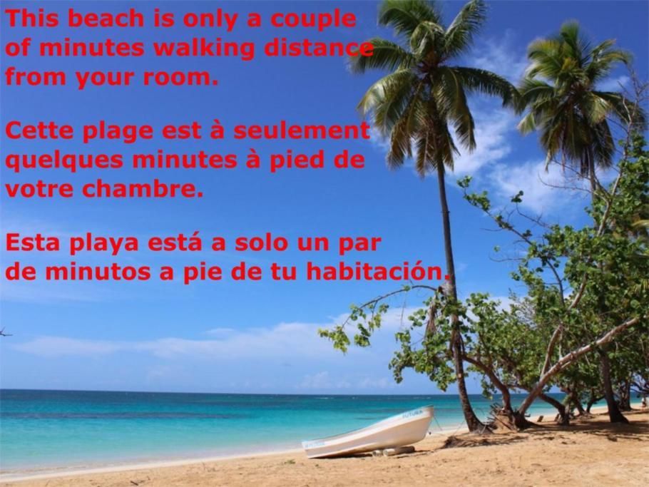 Dream Glamping Jungle Bohio Hotel Las Terrenas Bagian luar foto