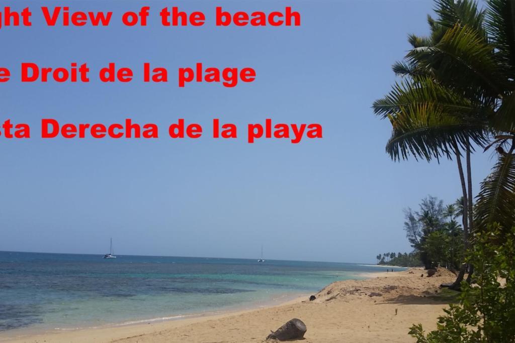 Dream Glamping Jungle Bohio Hotel Las Terrenas Bagian luar foto