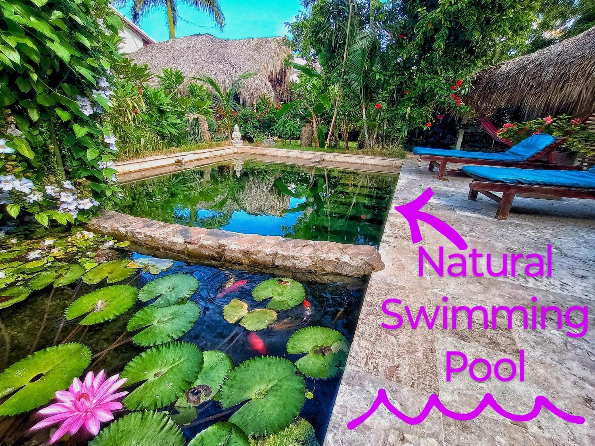 Dream Glamping Jungle Bohio Hotel Las Terrenas Bagian luar foto