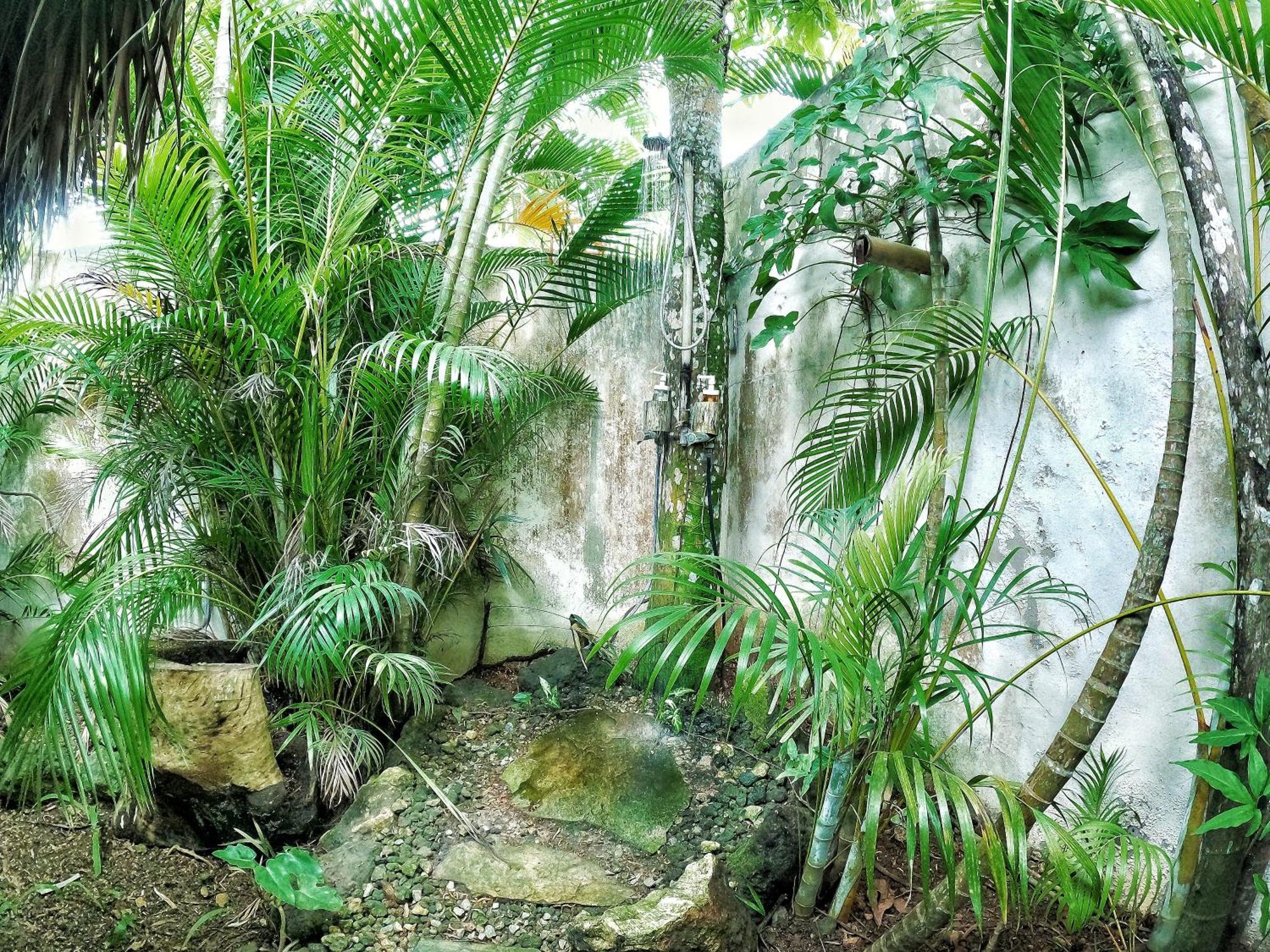 Dream Glamping Jungle Bohio Hotel Las Terrenas Bagian luar foto