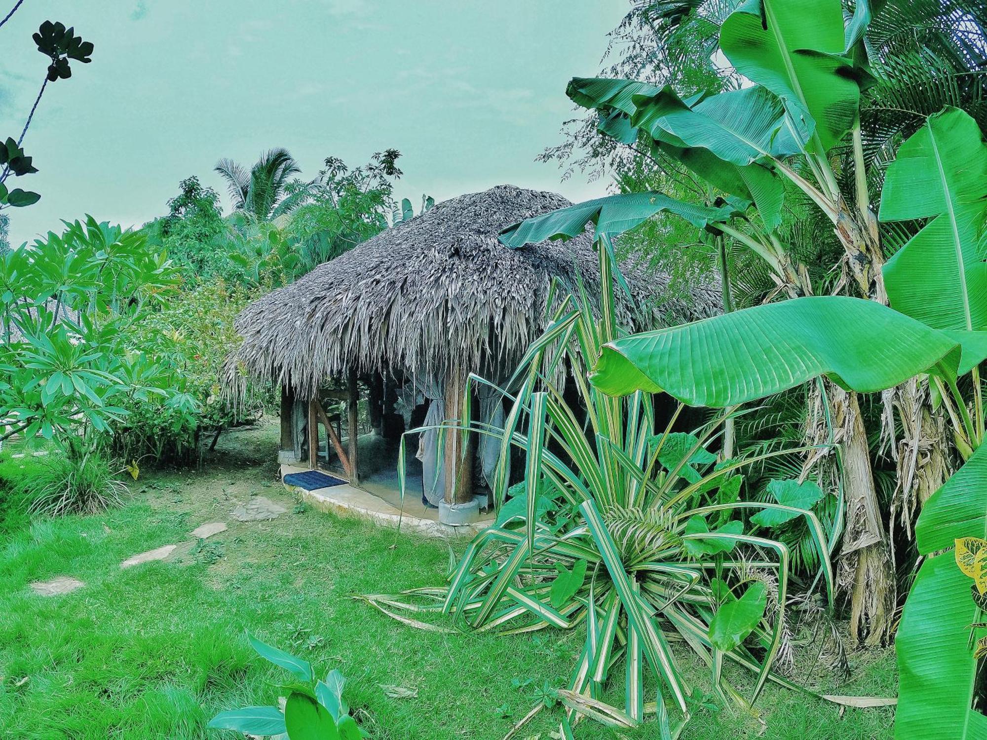 Dream Glamping Jungle Bohio Hotel Las Terrenas Bagian luar foto