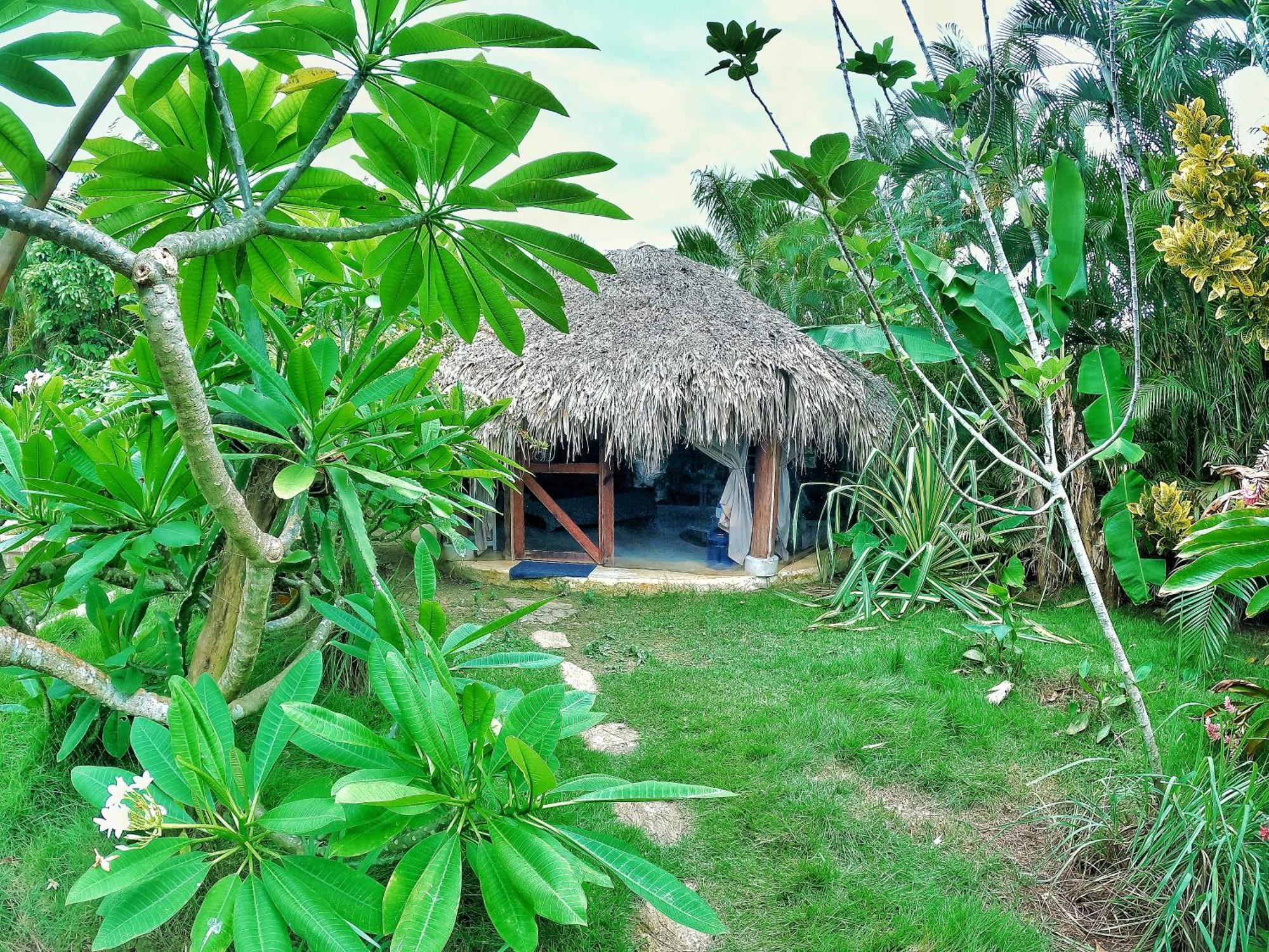 Dream Glamping Jungle Bohio Hotel Las Terrenas Bagian luar foto