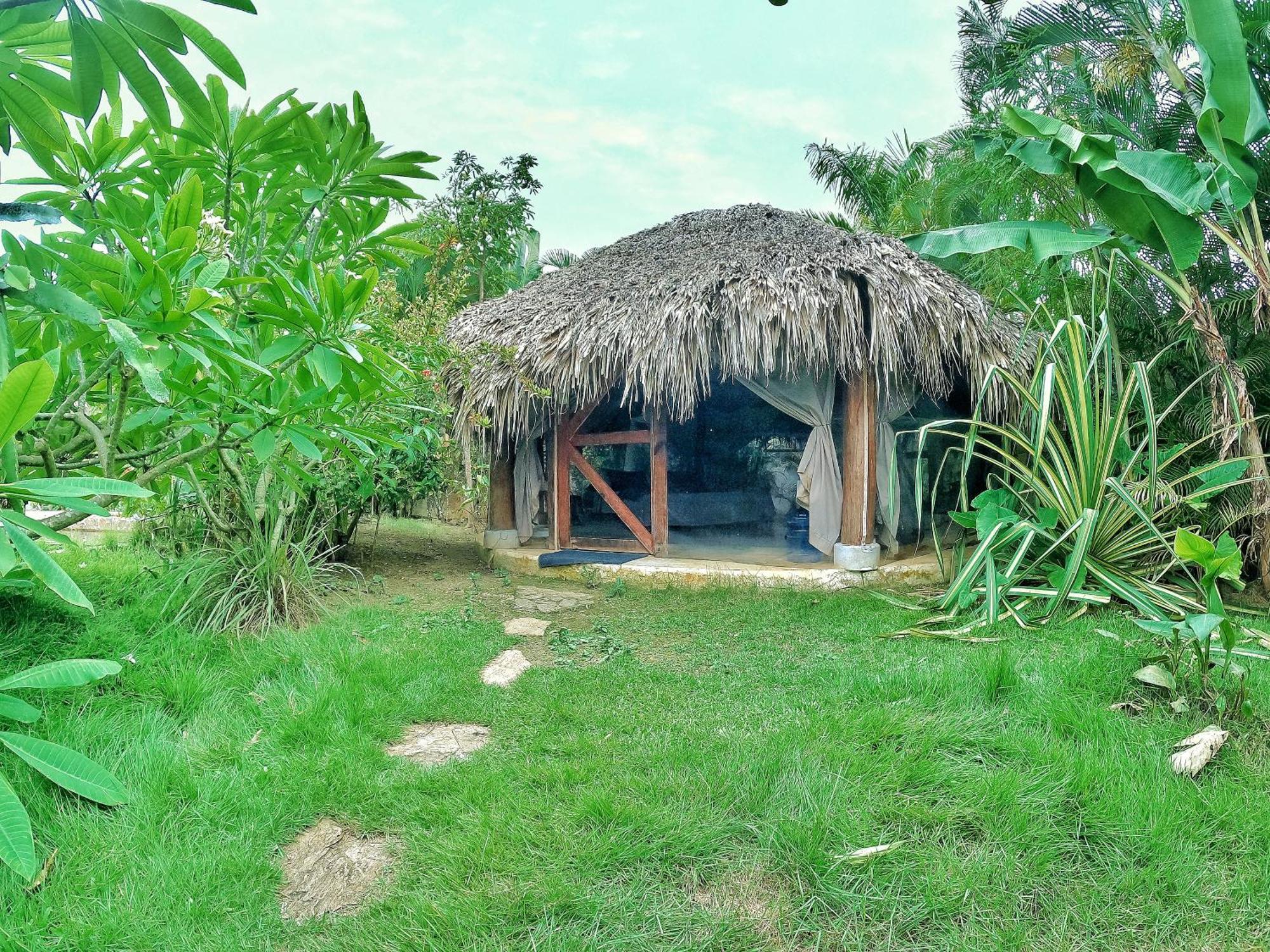 Dream Glamping Jungle Bohio Hotel Las Terrenas Bagian luar foto